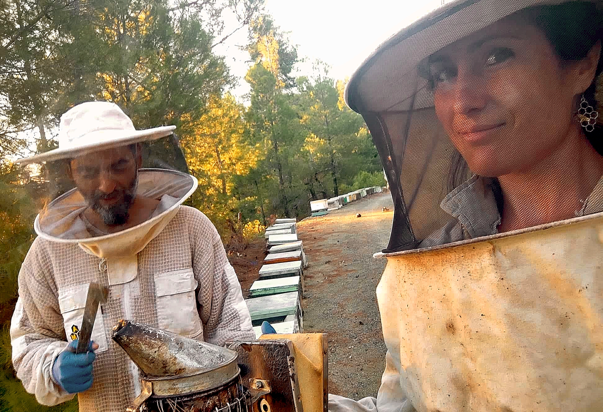 Το Μελισσολόι